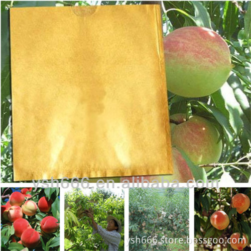 Peach growing paper bag with different size cheap price